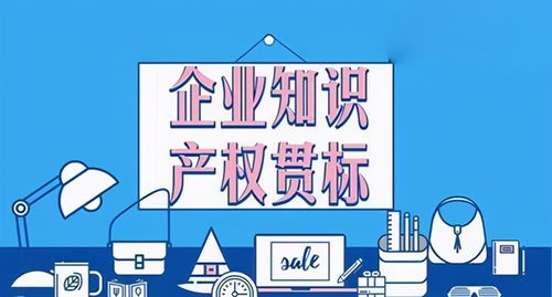 廣東中加檢測與頤卓咨詢共啟知識產權貫標認證新篇章